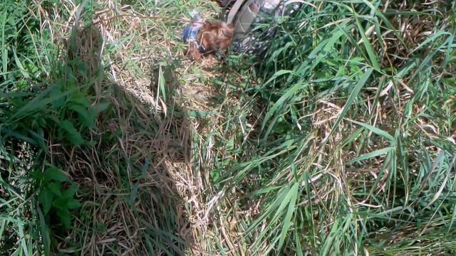 Рыбачу в Подмосковье ! смотреть онлайн