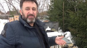 Медведи выходят из спячки начинается охота на мед