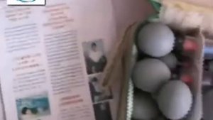 Магнитные банки акупункционного действия Haci 18 шт.
