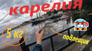 Рыбалка мечты! Рыбалка в Карелии на Онежском озере!!! Наловил карельского подлещика.