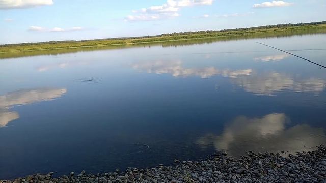 На рыбалке с детьми!р.Томь.Дочурка ловит чебака на БАЛДУ. смотреть онлайн