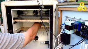 Инкубатор для вывода маток из холодильника