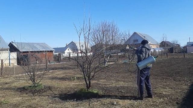 #опрыскивание#деревьев         