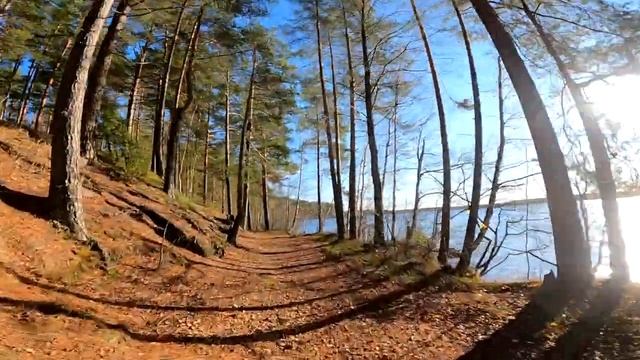 Велогонка в Цвелодубово 30 октября 2022г. смотреть онлайн