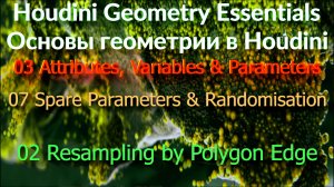 03_07_02 Resampling by Polygon Edge