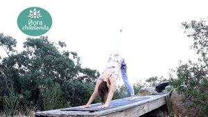 БОДРАЯ ЙОГА за 10 МИНУТ - Короткая йога для здоровья -  Йога chilelavida