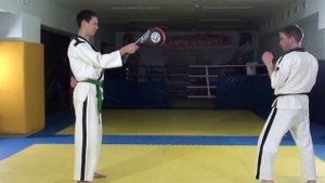 удар ногой МИКАДЗУКИ ГЭРИ (тэкэндо)