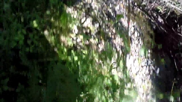 КАН из БЕРЕСТЫ для рыбалки ( начал делать новый кан , пчелы мед немного природы) смотреть онлайн