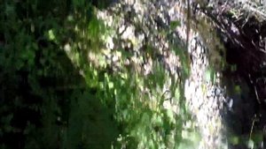 КАН из БЕРЕСТЫ для рыбалки ( начал делать новый кан , пчелы мед немного природы)