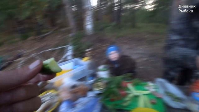 Рыбалка с ночевкой на армейском сухпайке. Наловили 10 кг рыбы. Куры будут довольны смотреть онлайн