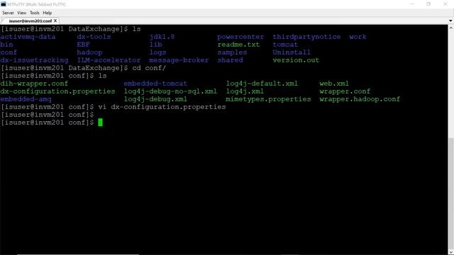 How to Enable JDBC Spy Log in B2B Data Exchange смотреть онлайн
