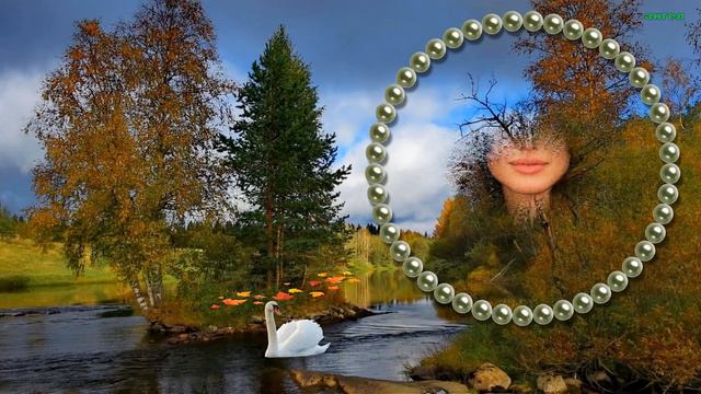 Шальная- исп Ирина Владимирова (сл и муз И.Владимирова)
