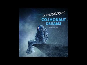 Spacebirds  -  Cosmonaut Dreams (Live Version) [Yotube Promo] Synthwave