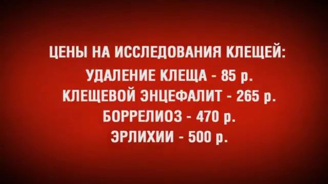 05 04 2016 Санврачи: кампания против клещевого энцефалита прошла неэффективно смотреть онлайн