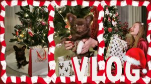 VLOG 28.12.2023 Дизайн, готовка и фотосессия??