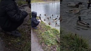 Прогулка в Морки!