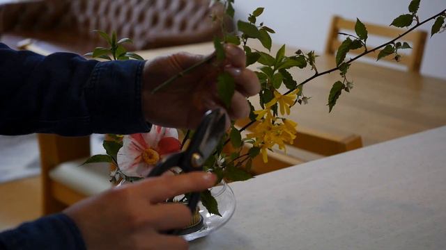 【生け花】木苺のお花が咲いた♪【ikebana】長葉紅葉苺/椿/レンギョウ/地味かわ/Rubus flower/懸鈴木花/Fleur de Rubus/Цветок рубуса/फूल/flor/ смотреть онлайн