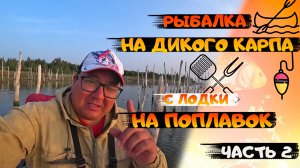 РЫБАЛКА НА ДИКОГО КАРПА с лодки на ПОПЛАВОК. Рыбалка 2023. РЫБАЛКА С НОЧЕВКОЙ. fishing. Часть 2