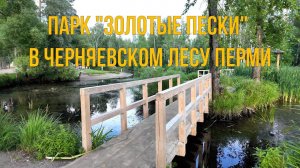 Парк Золотые пески в Черняевском лесу Перми 17 07 2024 год