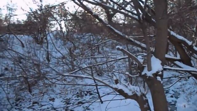 САМВЕЛ АДАМЯН УЕЗЖАЕТ. ЮЛЯ ТЕРЯЕТ ДЕНЬГИ смотреть онлайн