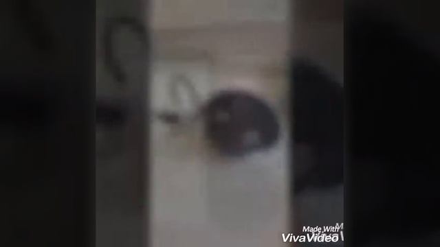 Мастер на час. Тел.+79152465726 Москва, Реутов, Балашиха, Синяя ветка. смотреть онлайн