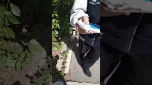 краш тест телефона алкатель