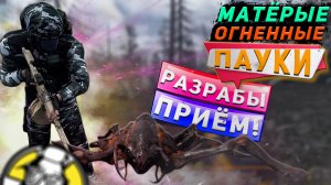 ВЫПАЛ ВЕПРЬ В ГАЙДЕ ПО МАТЁРЫМ ОГНЕННЫМ ПАУКАМ - WILL TO LIVE ONLINE!