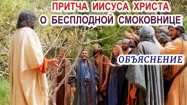 Притча Иисуса Христа о бесплодной смоковнице. Объяснение