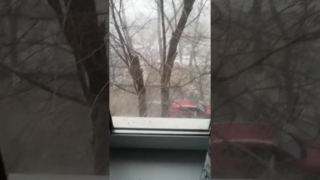 #снегири2021 #синицы 2021 #карниз # Костанай2021 смотреть онлайн