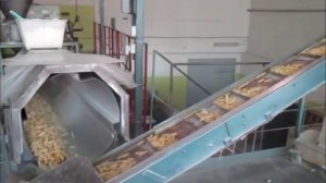 Производство кукурузных палочек