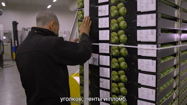 ПАЛЛЕТИЗАЦИЯ ФРУКТОВ