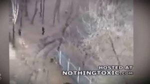 ТОП 5 СУМАСШЕДШИХ НАПАДЕНИЙ ЖИВОТНЫХ на ЧЕЛОВЕКА СНЯТЫЕ НА КАМЕРУ