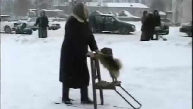 Санки-финки в селе Тумботино смотреть онлайн