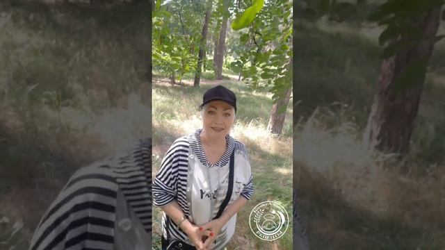 #181 Почему я перешла на интервальное #кетопитание