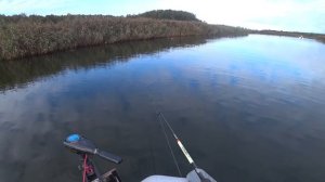 Дедовская Рыбалка на Кружки. Щука рвет Подсак