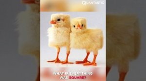 MINECRAFT Creations And Crafts That Are Next Level