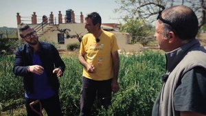 Каталония. Убить дракона. Человек мира ? Моя Планета