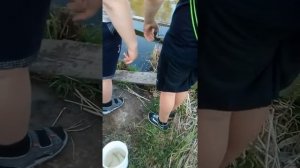 Как наши мальчики ловят рыбу