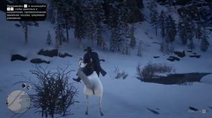 Поимка белой арабской лошади в RDR2