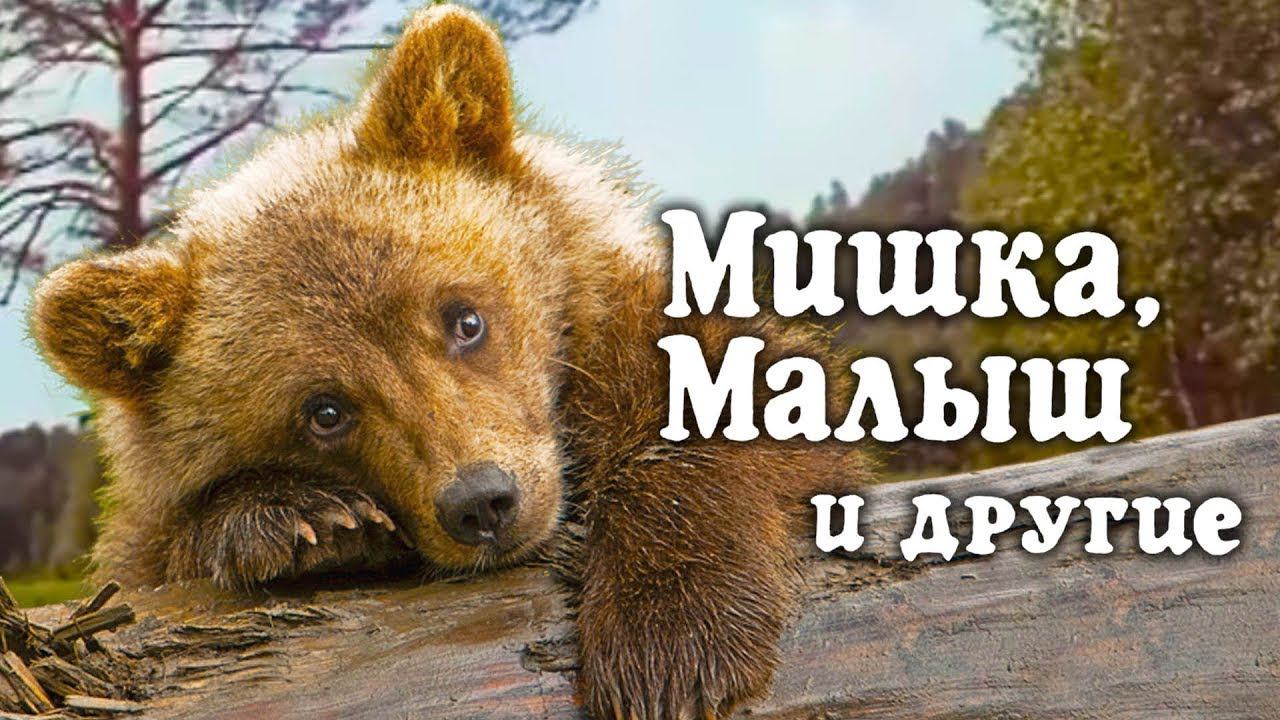 Мишка, малыш и другие (1982)