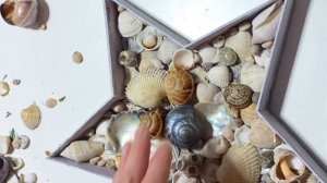 Морской декор «Звезда с ракушками»/DIY