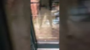 Алюминиевые ставни с поворотными ламелями на двери