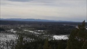 "Мысли вслух" - сборник стихотворений