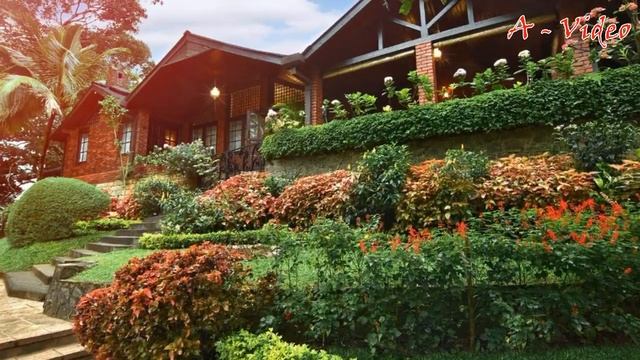 ?Оригинальный дизайн садового участка Идеи для воплощения / Best Garden Decorating Ideas / A - Vide