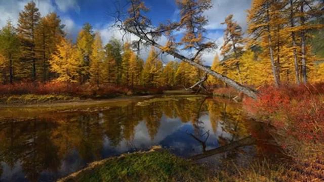БИБЛИЯ ЗА ГОД Выпуск 175. смотреть онлайн