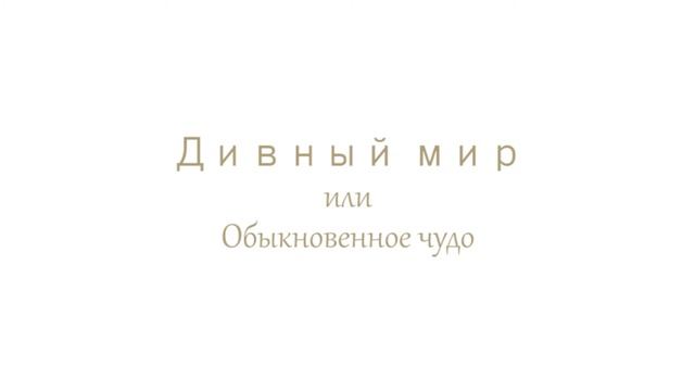 ДИВНЫЙ МИР ИЛИ ОБЫКНОВЕННОЕ ЧУДО