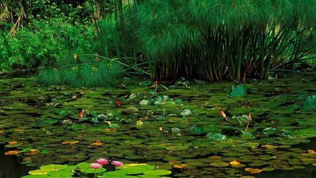 Что делать, если обычного человека совершенно неожиданно занесло в СССР?#yt:cc=on смотреть онлайн