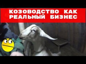 Козоводство как реальный бизнес