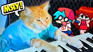 Котик из Мема Наносит Ответный Удар во Friday Night Funkin' VS Keyboard Cat