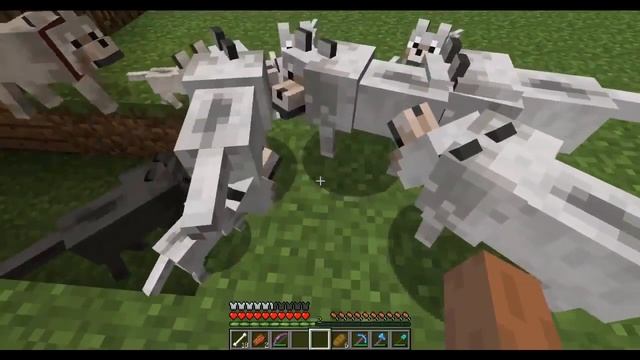 смешные баги в майнкрафте . Баги в Minecraft  , приколы майнкрафта .